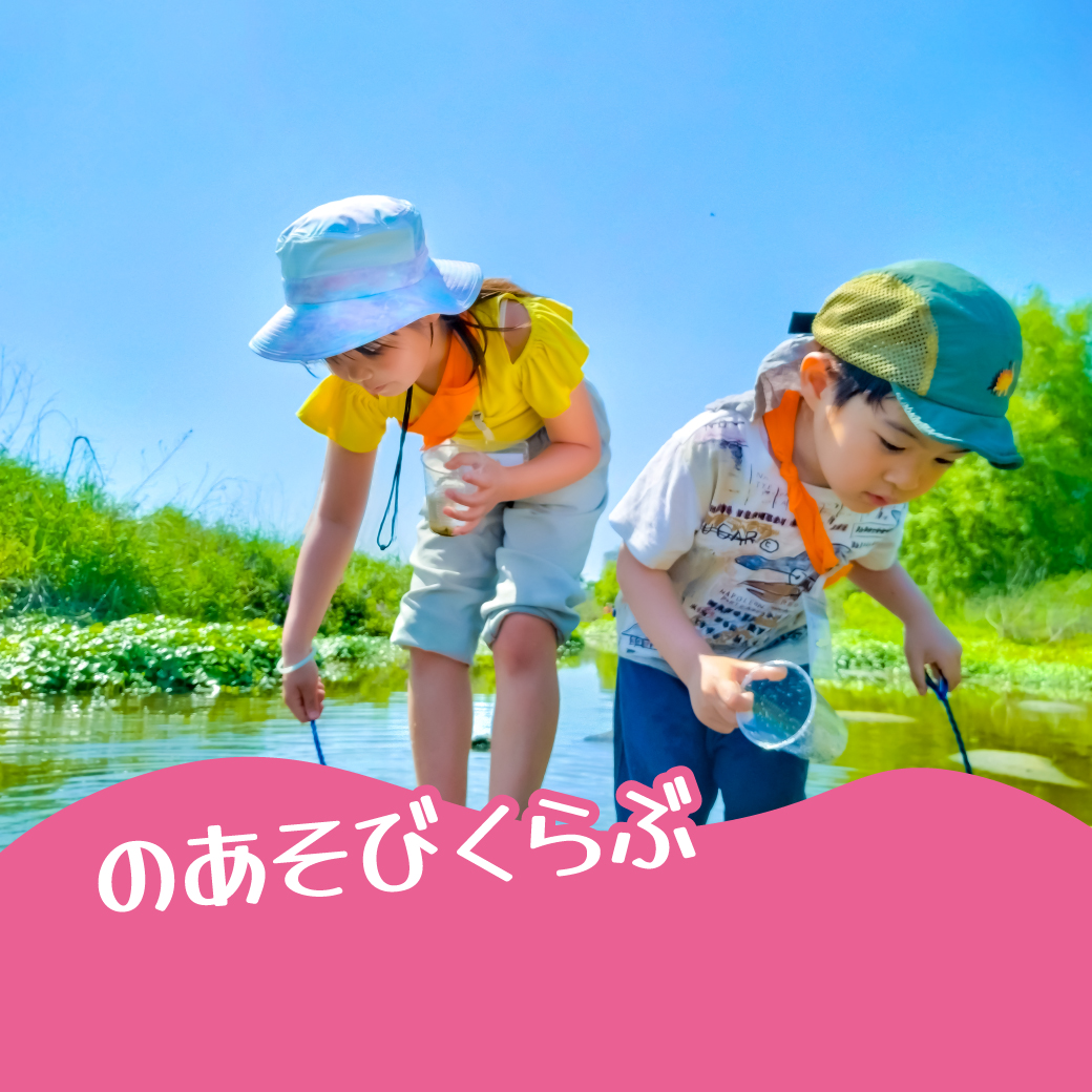 のあそびくらぶ
