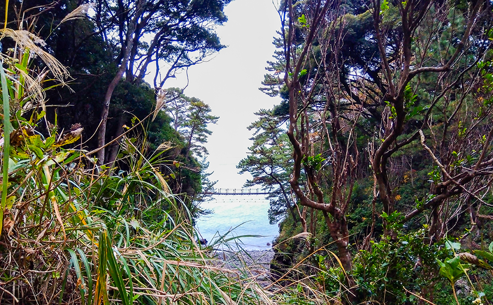 伊豆の自然イメージ