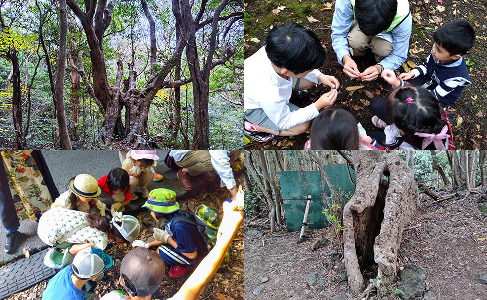 親子のあそびお泊まりのイメージ