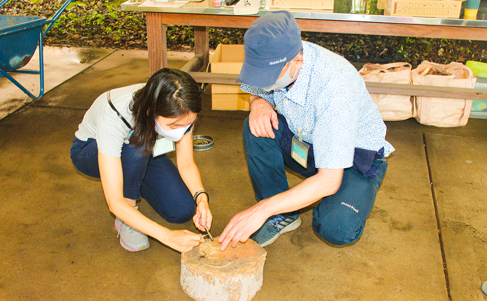 たき火体験イメージ