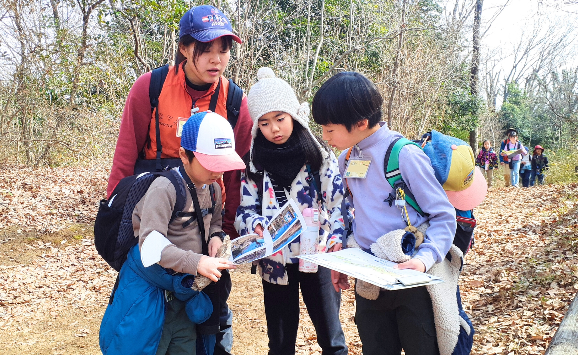 ビギナーハイキング