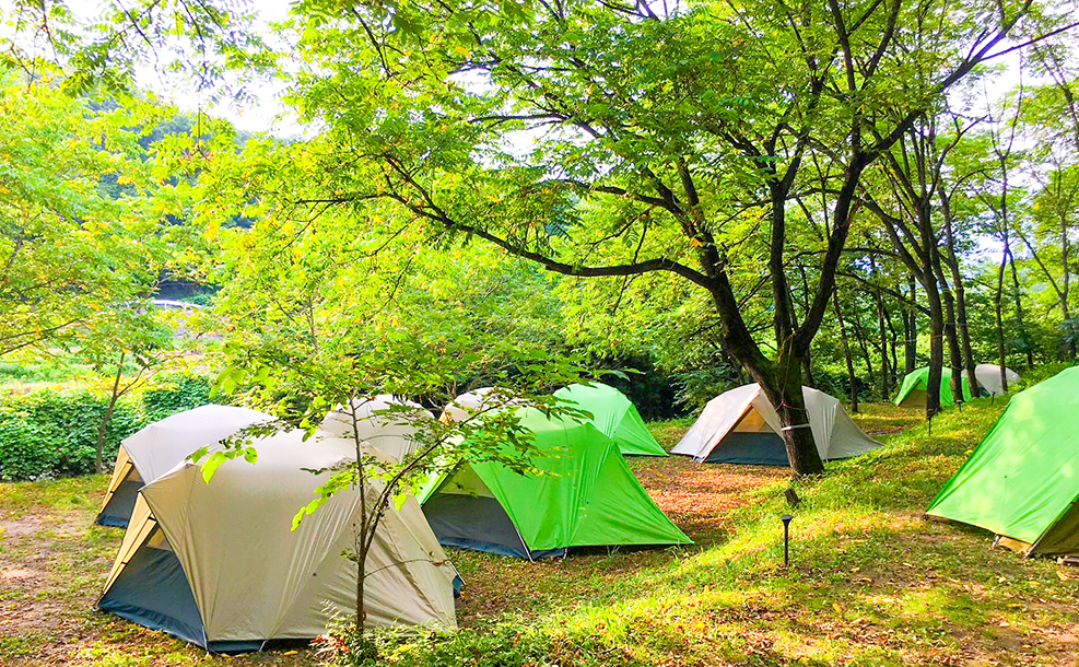 テントサイトイメージ