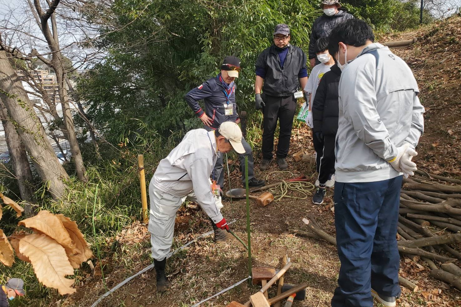 市民健康の森を育てる会の様子