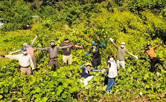 四ツ田緑地里山整備隊